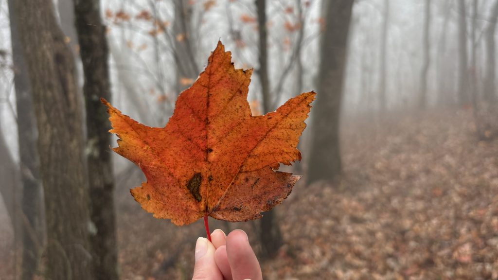 Living within Our&nbsp;Limits